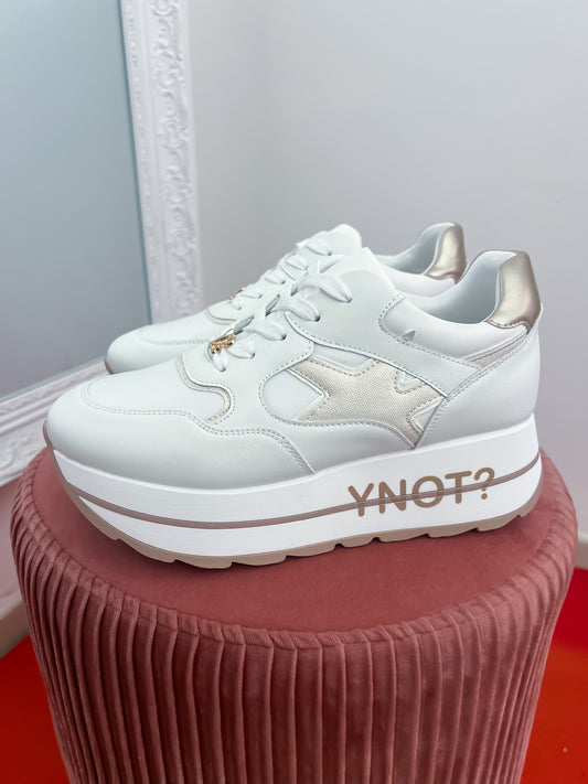 Sneakers YNOT